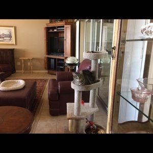 Meet your Posher, Pat